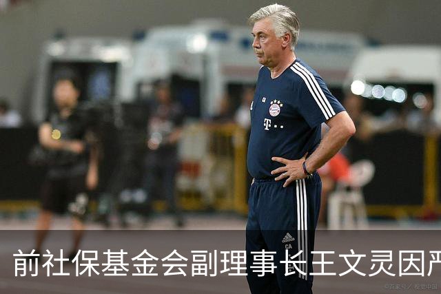 前社保基金会副理事长王文灵因严重违纪被开除
